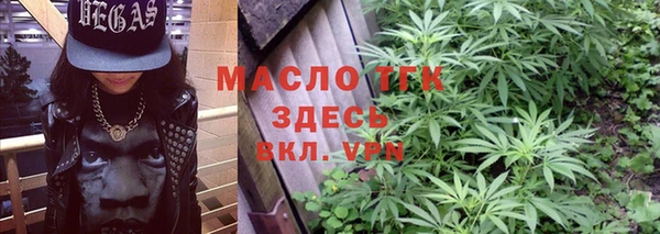 амф Ладушкин