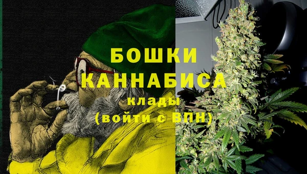 амф Ладушкин