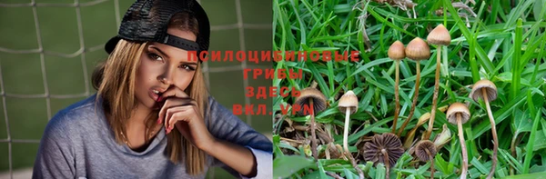 мяу мяу кристалл Лабытнанги