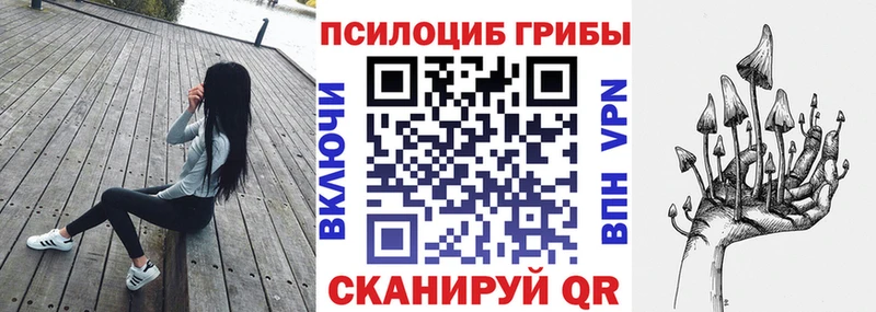 KRAKEN ONION Минеральные Воды Галлюциногенные грибы Cubensis