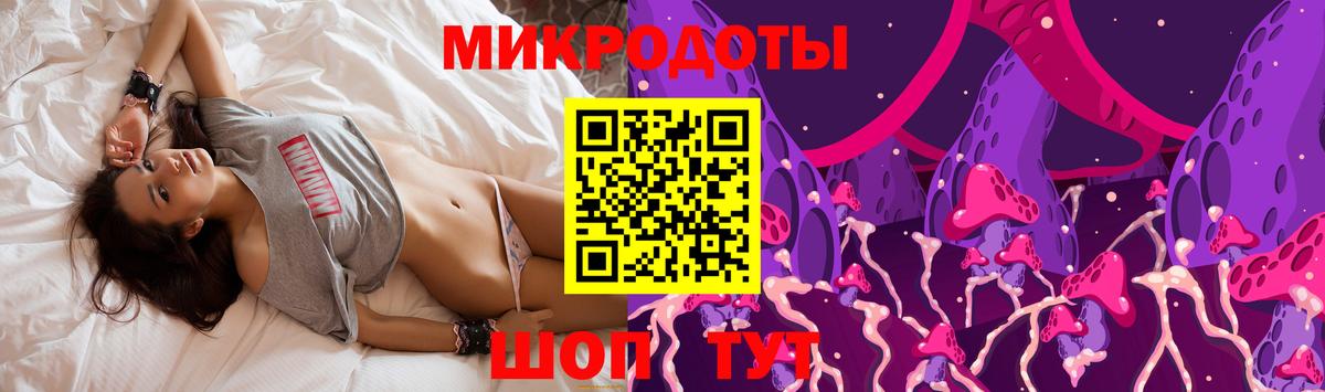 Псилоцибиновые грибы Psilocybe Минеральные Воды